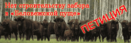 https://secure.avaaz.org/community_petitions/en/pravitelstvo_polshi_net_stroitelstvu_zabora_v_belovezhskoi_pushche/